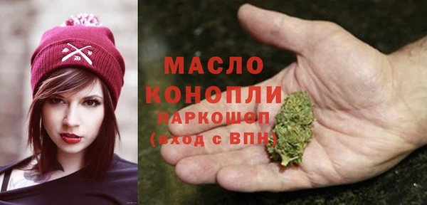 дмт Дмитриев