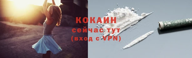 ECSTASY Гусев