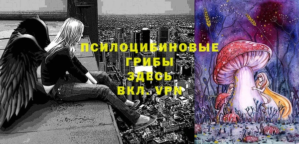 дмт Дмитриев