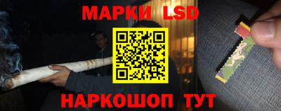 дмт Кингисепп
