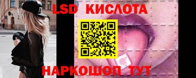 дмт Кингисепп