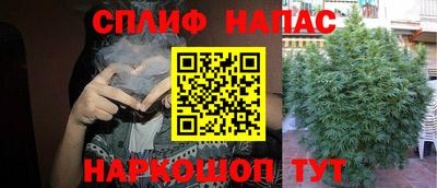 дмт Кингисепп