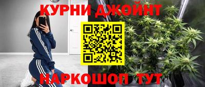 дмт Кингисепп