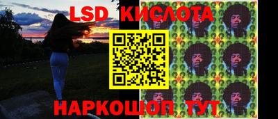 дмт Кингисепп