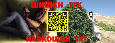 дмт Кингисепп