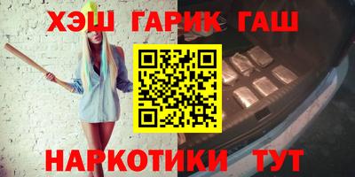 дмт Кингисепп