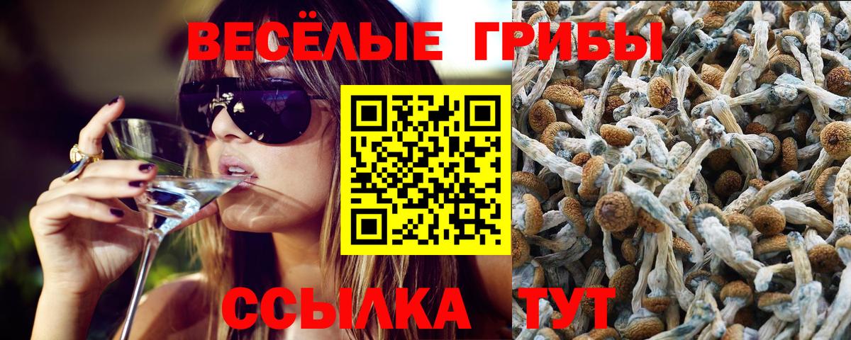 Псилоцибиновые грибы GOLDEN TEACHER  Вход с VPN  Обь 