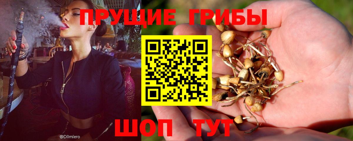 Псилоцибиновые грибы Magic Shrooms Обь