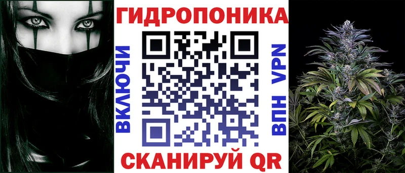 Шишки марихуана гибрид  Обь 